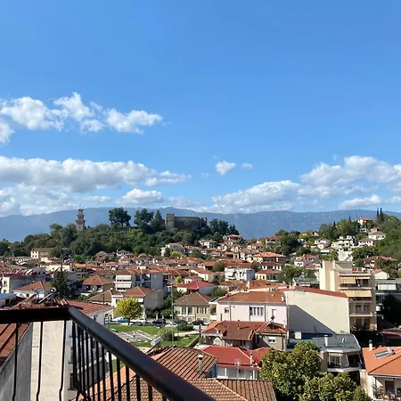 Top8 View *